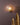 Shell Wall Light - LUUGAA