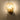 Shell Wall Light - LUUGAA