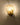Shell Wall Light - LUUGAA