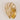 Shell Wall Light - LUUGAA