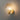 Shell Wall Light - LUUGAA