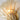 Shell Wall Light - LUUGAA