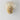 Shell Wall Light - LUUGAA