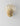 Shell Wall Light - LUUGAA