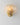 Shell Wall Light - LUUGAA