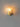 Shell Wall Light - LUUGAA