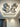Skydro Ceiling Lamp - LUUGAA
