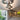Skydro Ceiling Lamp - LUUGAA