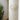 Skye Shell Tiered Wall Lamp - LUUGAA