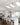 Somerset Pendant Light - LUUGAA