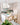 Somerset Pendant Light - LUUGAA