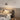 Sophia Floor Lamp - LUUGAA