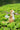 Squirrel Table Lamp - LUUGAA