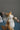 Squirrel Table Lamp - LUUGAA