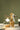 Squirrel Table Lamp - LUUGAA