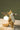 Squirrel Table Lamp - LUUGAA