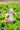 Squirrel Table Lamp - LUUGAA