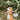 Squirrel Table Lamp - LUUGAA