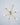 Staggered Glass 6 Light Chandelier - LUUGAA