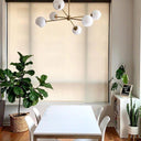Staggered Glass 6 Light Chandelier - LUUGAA
