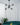 Staggered Glass 6 Light Chandelier - LUUGAA