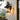 Sullivan Farmhouse Outdoor Wall Light - LUUGAA