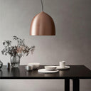 Suspence Pendant Light - LUUGAA