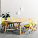 Suspence Pendant Light - LUUGAA