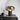 Sylvaine Table Lamp - LUUGAA