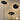 Symphony Floor Lamp - LUUGAA