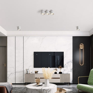 Three heads Rotating Folding Ceiling Lamp - LUUGAA