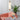 Trillium Pendant Light - LUUGAA