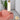 Trillium Pendant Light - LUUGAA