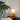 Triple Gourd Table Lamp - LUUGAA