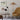 Tynell Floor Lamp - LUUGAA