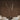 U Wooden Pendant Lamp - LUUGAA
