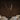 U Wooden Pendant Lamp - LUUGAA