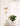 Vellum Travertine Wall Sconce - LUUGAA