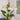 Vera Modern Brass Chandelier - LUUGAA
