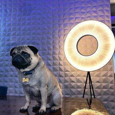 Vespera Floor Lamp - LUUGAA