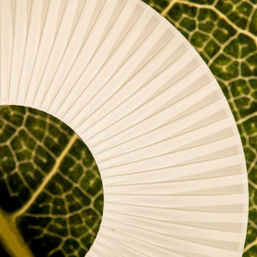 Vespera Floor Lamp - LUUGAA