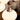Vintage Persimmon Chandelier - LUUGAA