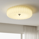 Vivid Ripple Ceiling Light - LUUGAA