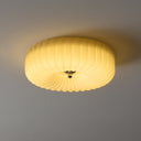 Vivid Ripple Ceiling Light - LUUGAA