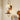 Walnut Shelf Sconce - LUUGAA
