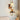 Walnut Shelf Sconce - LUUGAA